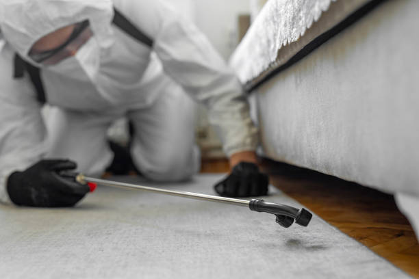 Professional Bed Bug Control technician working in Mason, MI