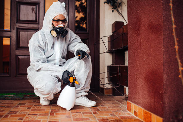 Reliable Bed Bug Control contractor in Mason, MI by Nex Pest Control